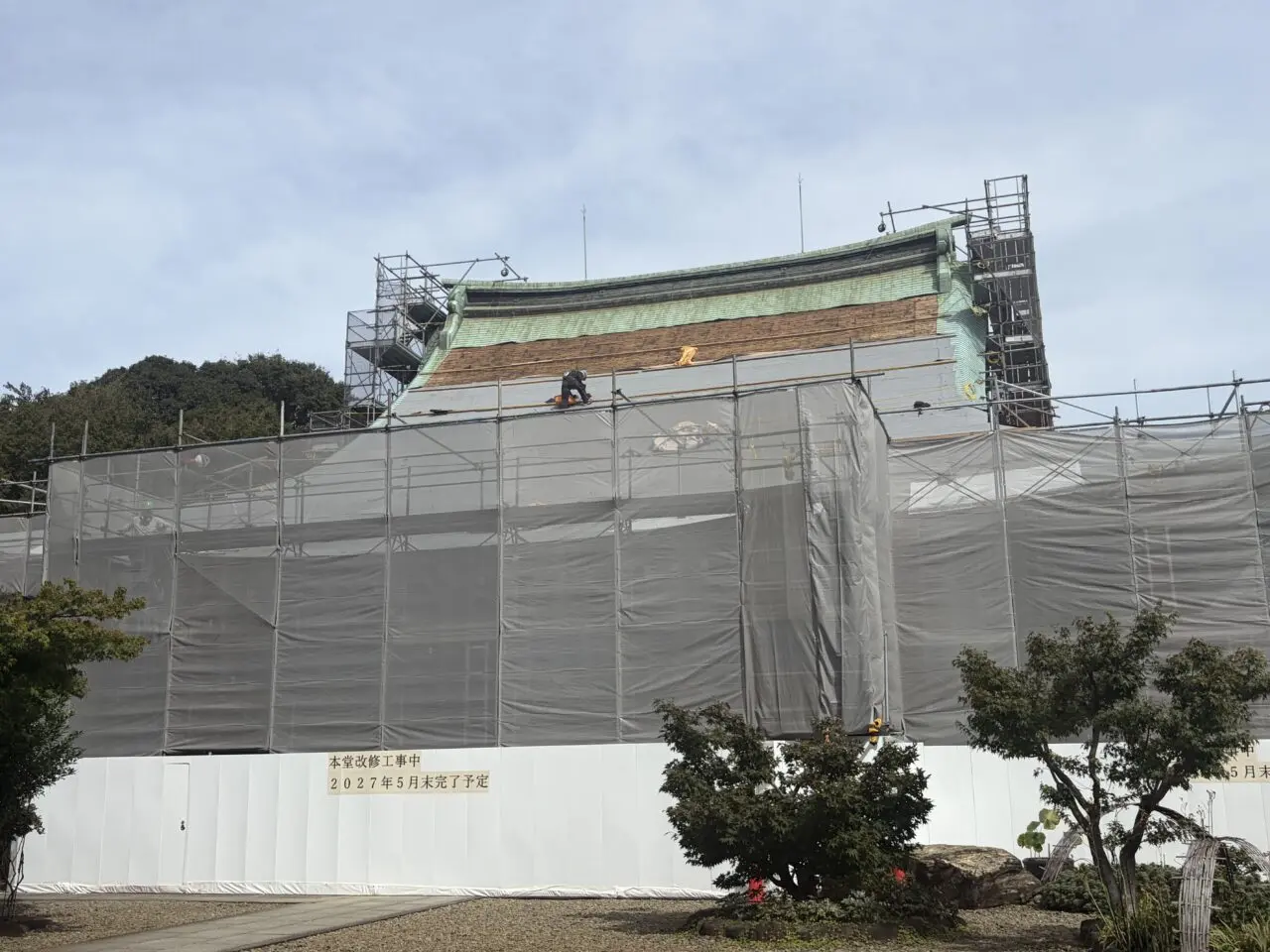 豪徳寺